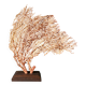 Red Gorgon Wooden Base. H: 32 cm | Decorative Object & Curiosity
