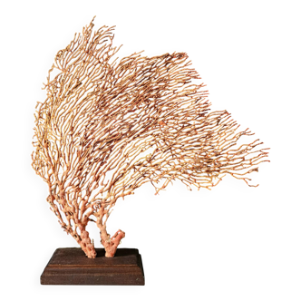 Red Gorgon Wooden Base. H: 32 cm | Decorative Object & Curiosity