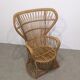 Fauteuil Peaock Rohé Noordwolde