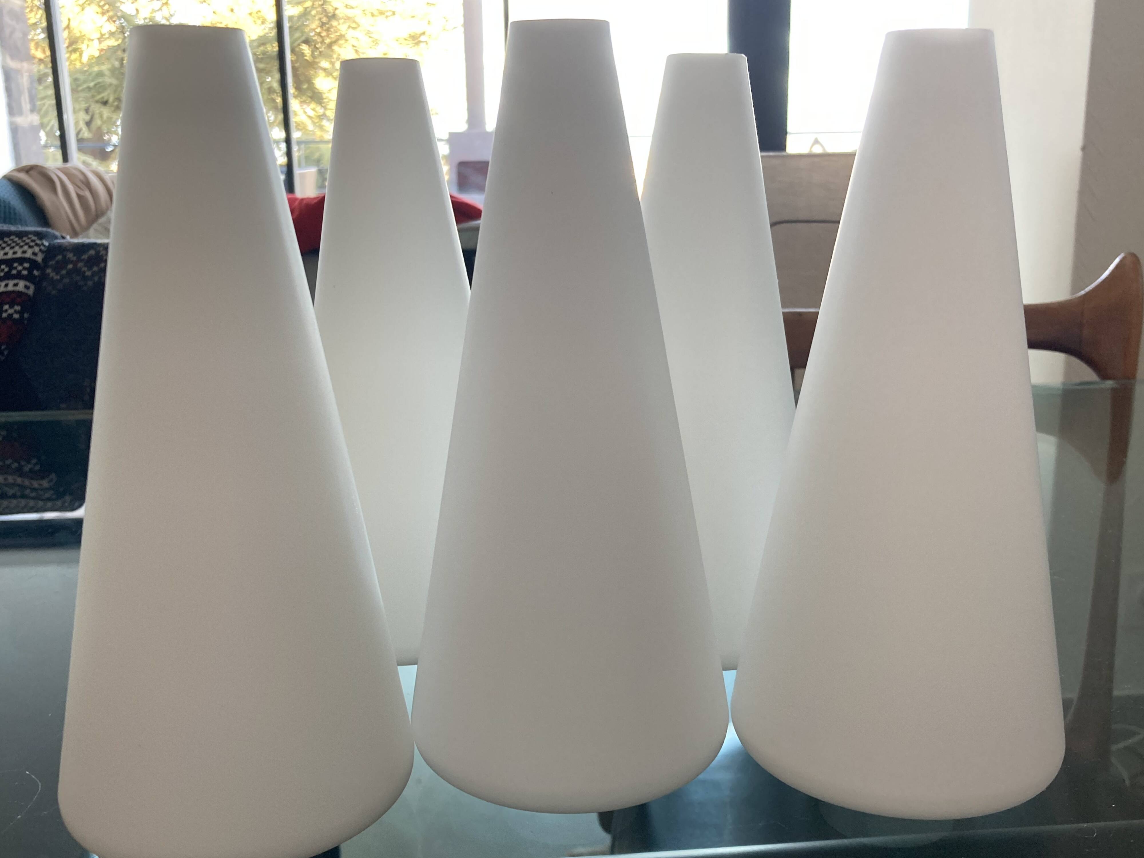 Set of 5 opaline tulips