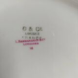 6 dessert plates Bernardaud Bengali model