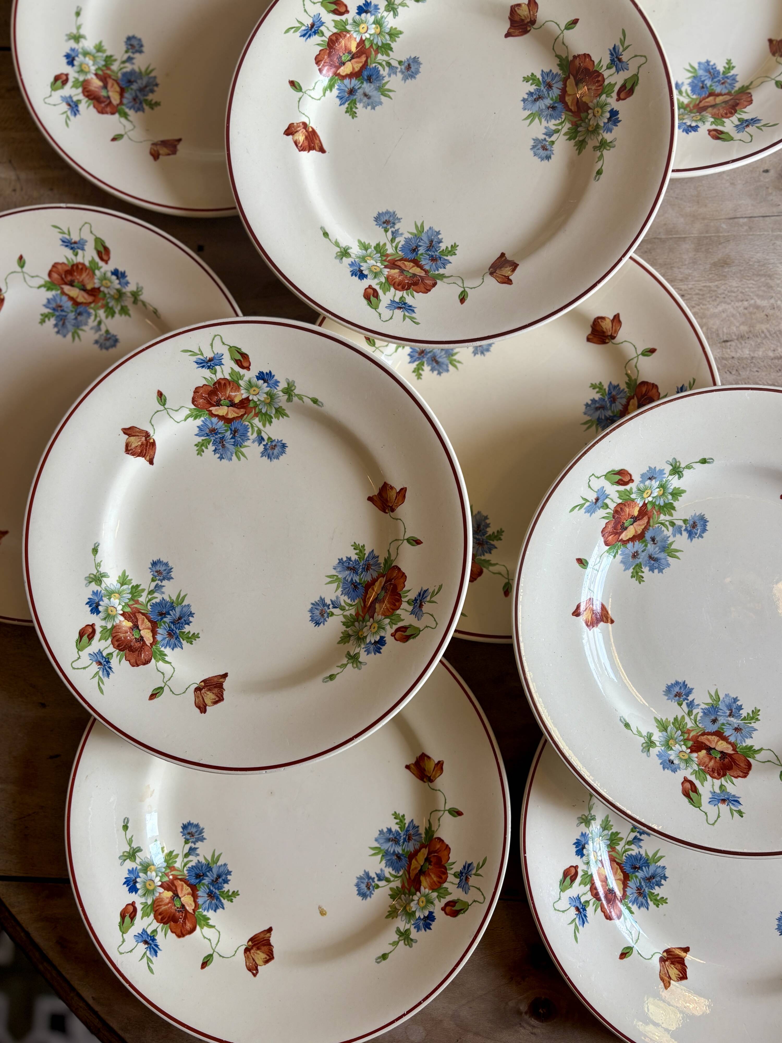 Set of 12 old flat plates with flower decorations - Salins