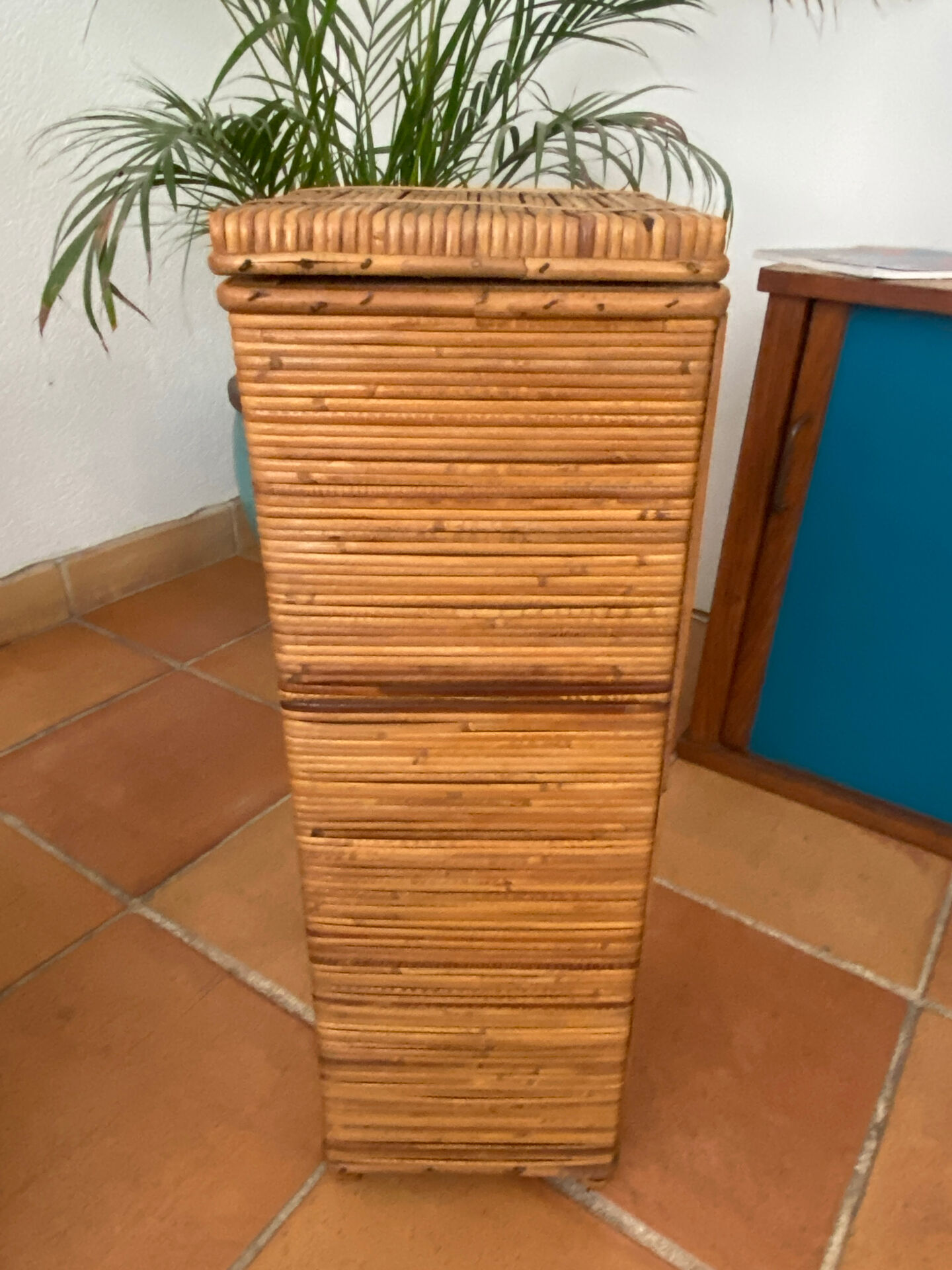 Rattan chest