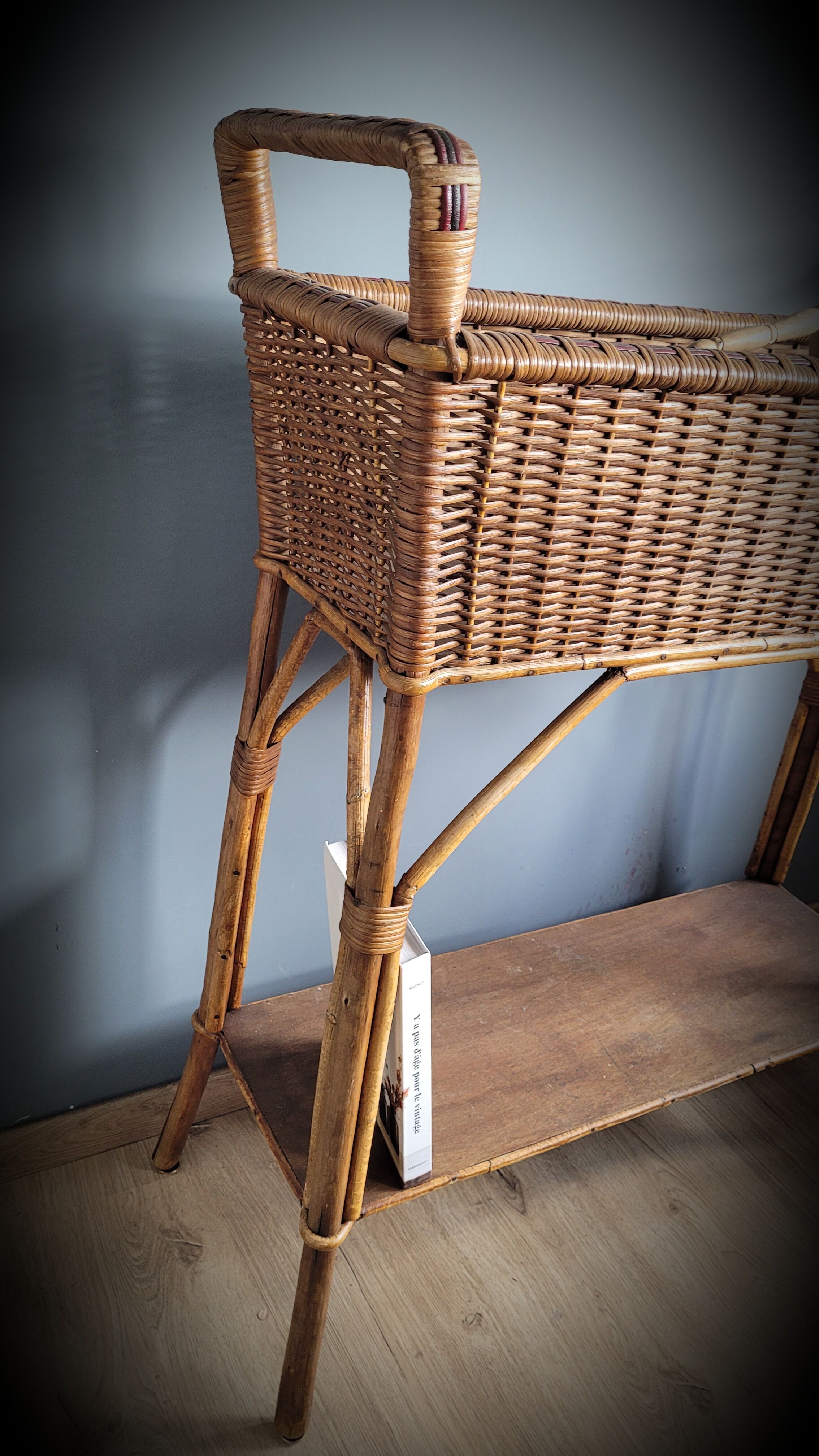 Planter door rattan plant