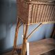 Planter door rattan plant