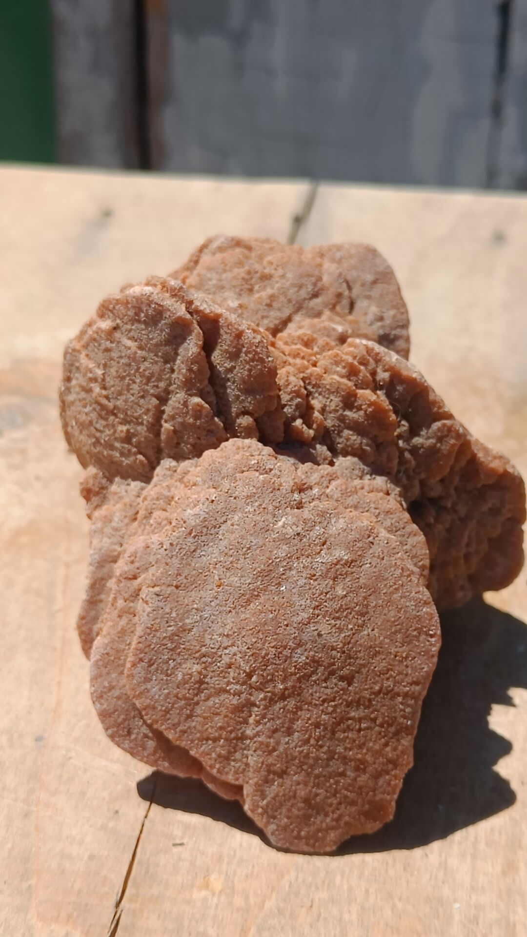 Natural sand rose