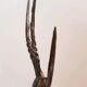 Trio gazelles and antelopes in brass and bronze
