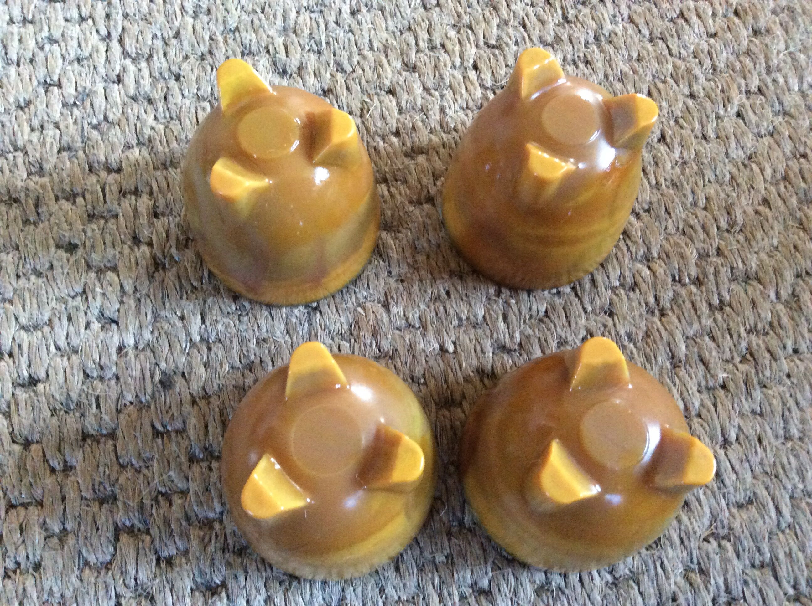 Series of 4 cockroaches