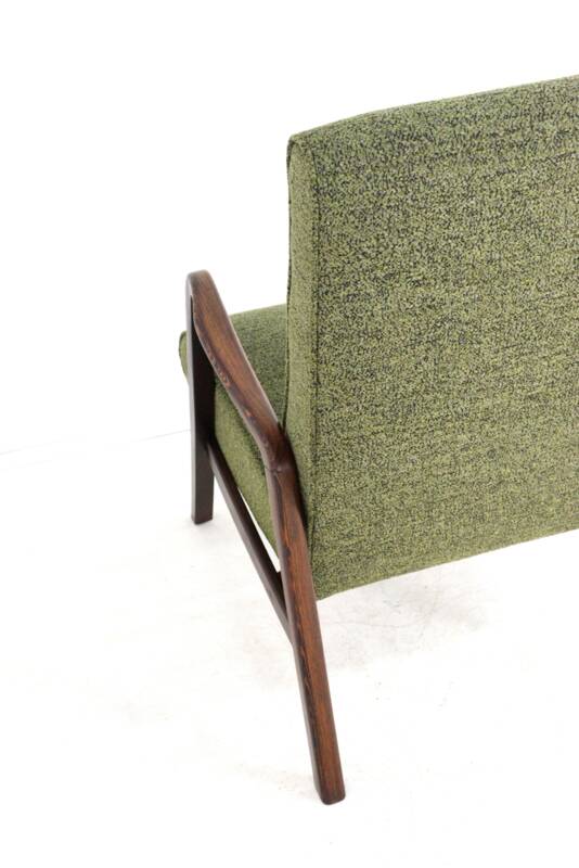 Knicos Armchair in Wengé with Green Upholstery | very rare dutch design