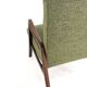 Knicos Armchair in Wengé with Green Upholstery | very rare dutch design