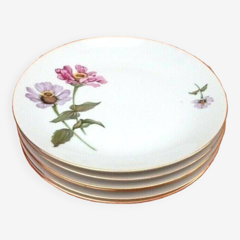 6 assiettes plates  Porcelaine fine de Bohème