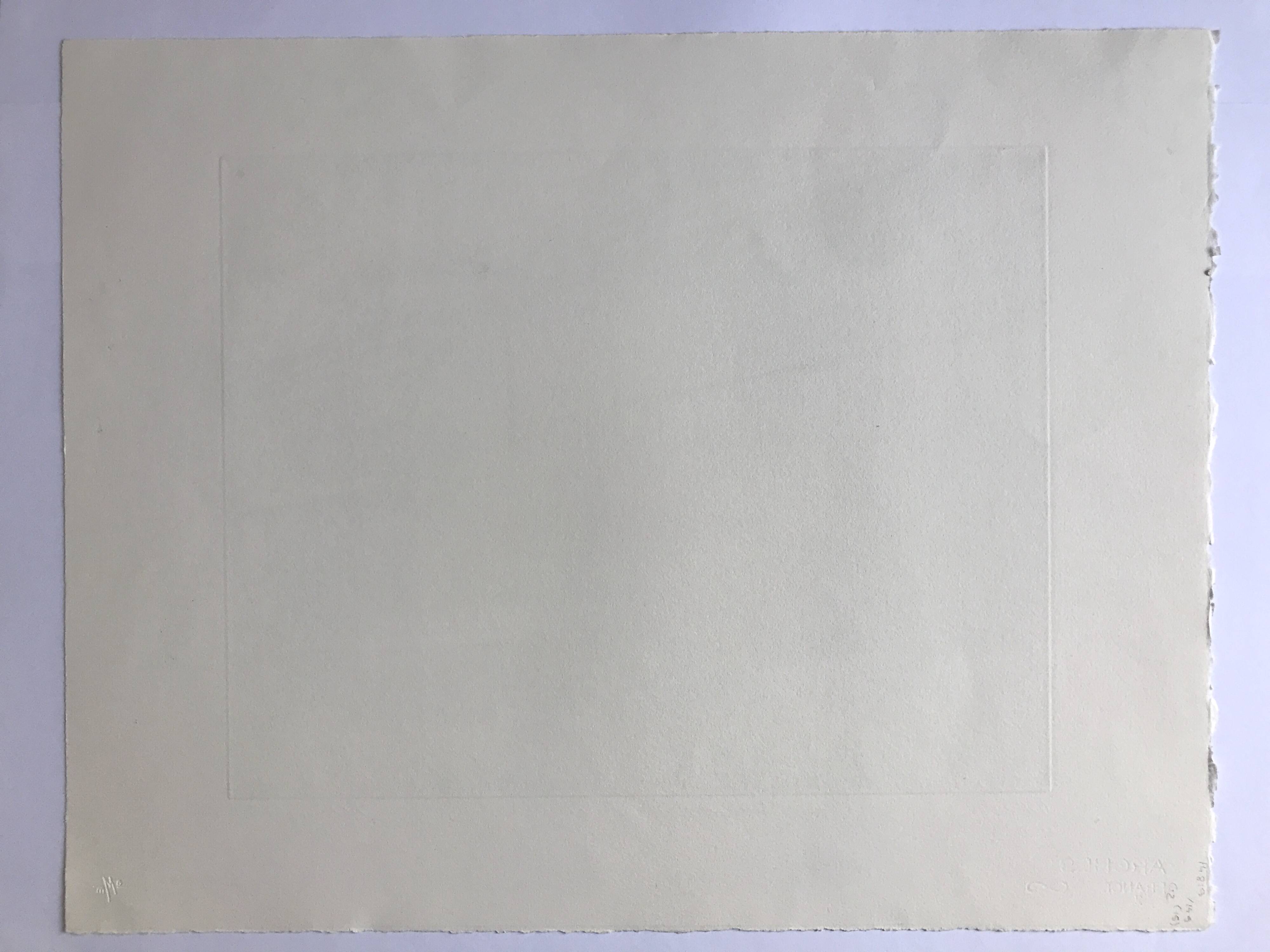 Nicole BOUHARMONT, Greenhouses and Botanical Gardens. Drypoint signed in chalk