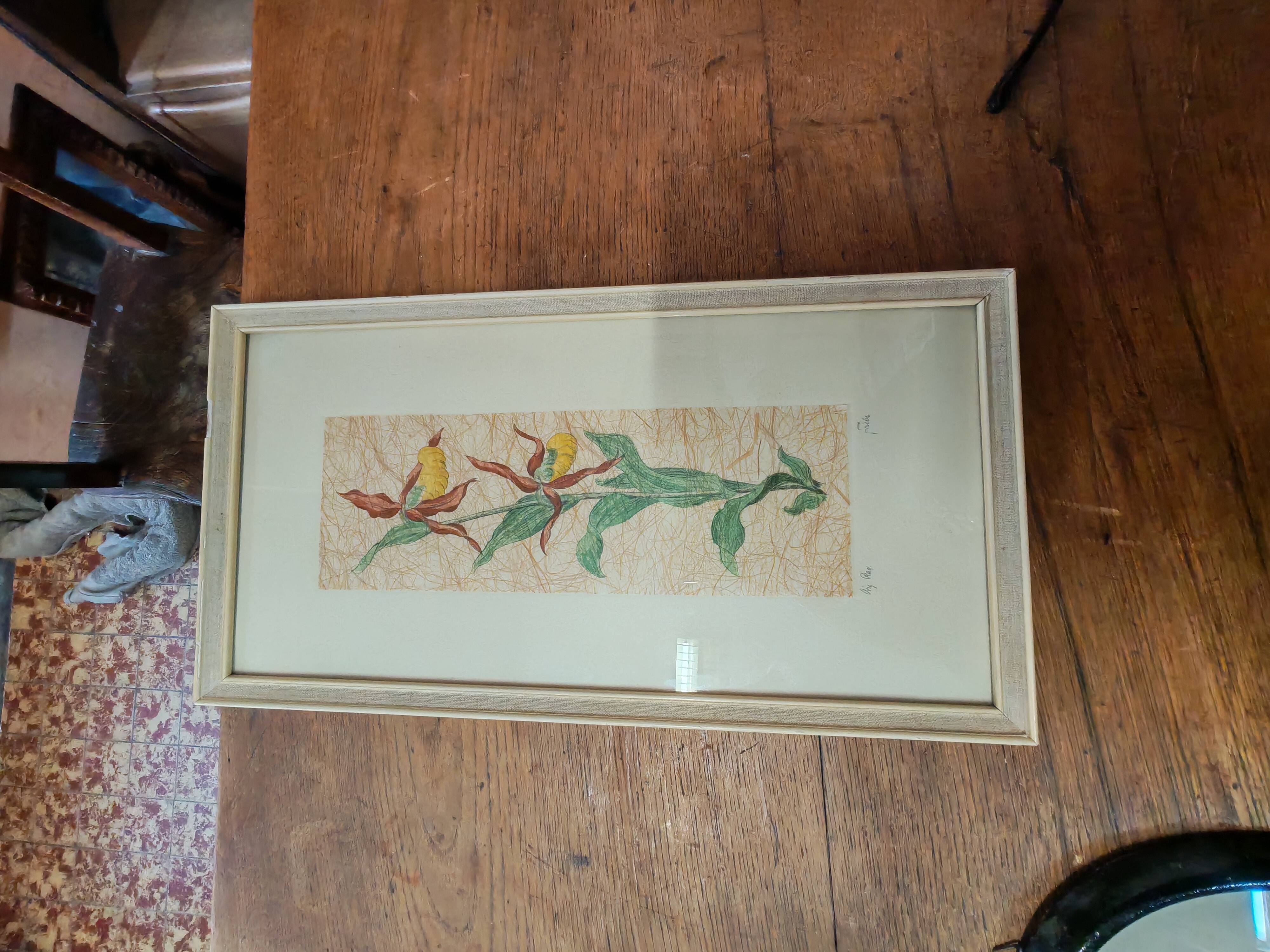 Set of two vintage flower illustrations