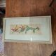 Set of two vintage flower illustrations