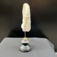 Antique natural white coral on a blackened wooden base, notebooks of curiosities