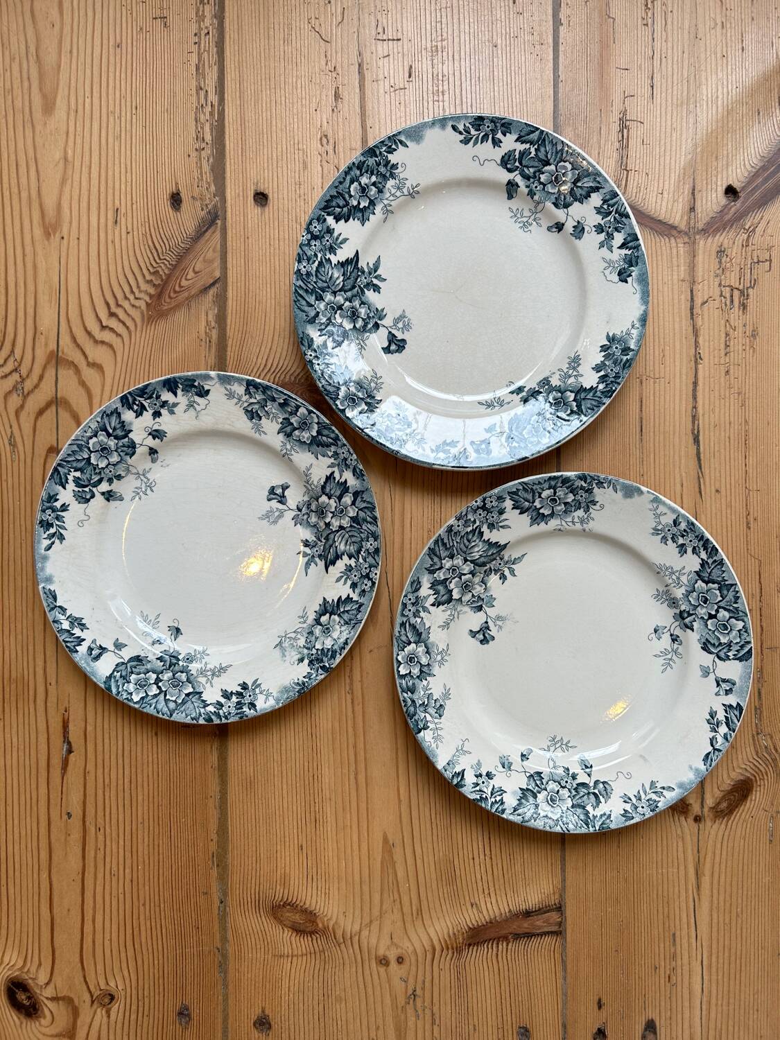 Set of 3 old flat plates Terre de Fer