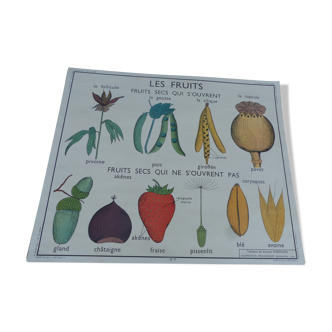 Botanical board