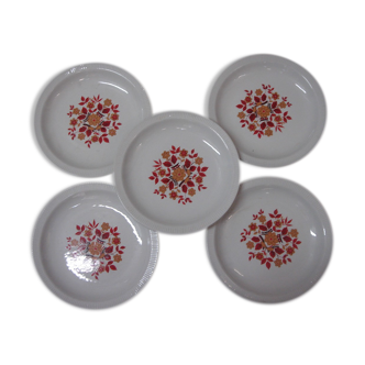 5 plates to enamelled ceramic dessert decoration flower of 1970