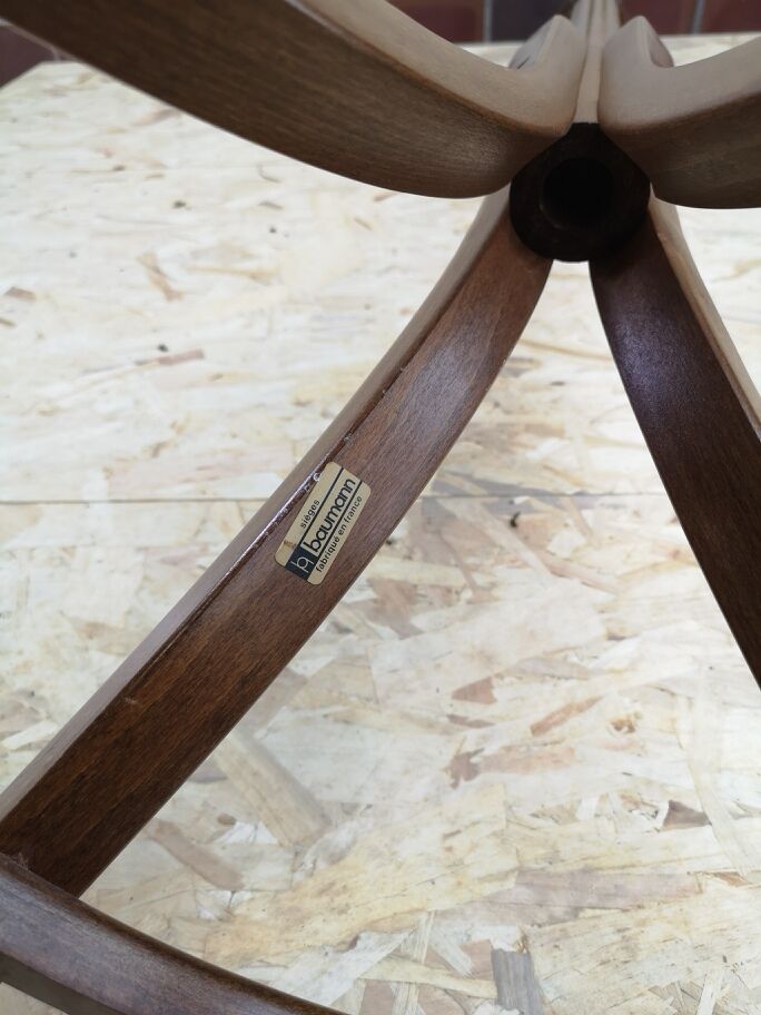 Baumann parrot coat holder
