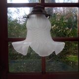 Glass tulip pendant light