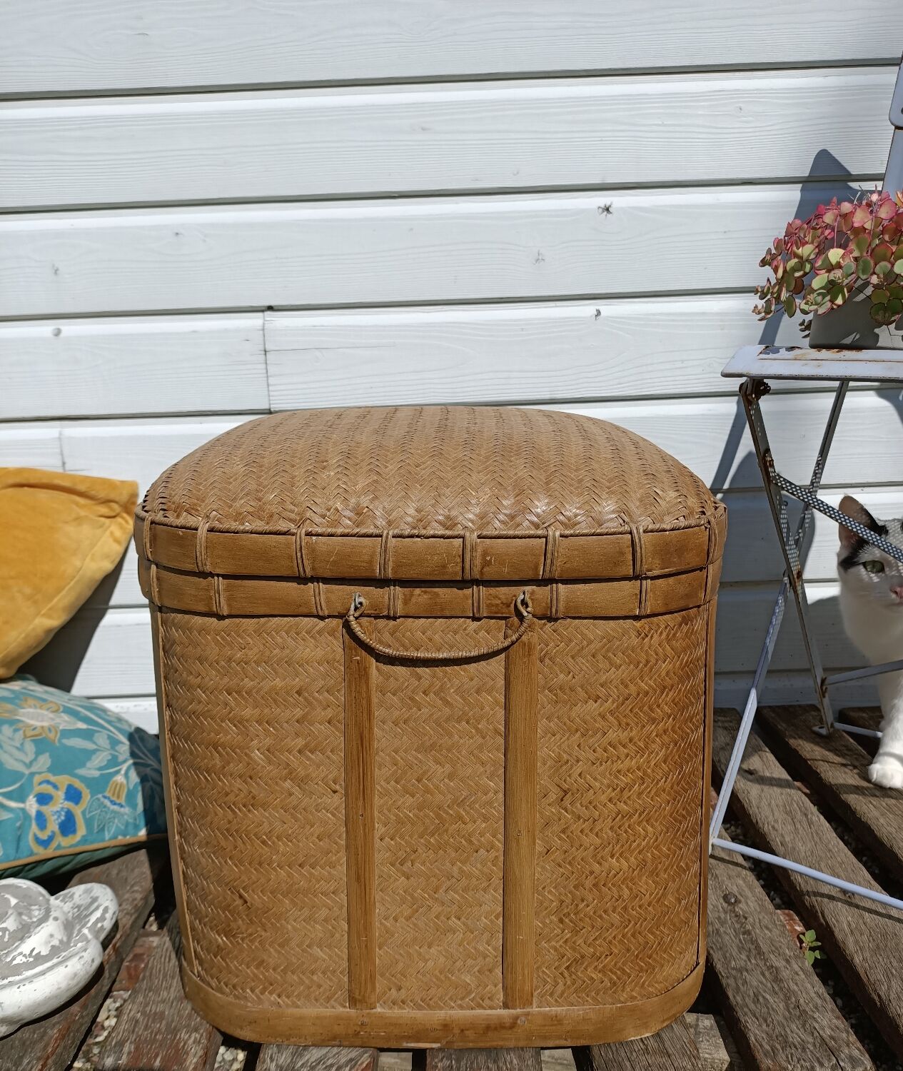 Old trunk rice straw