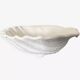 Shell bowl Italian art