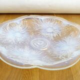 Plat coupe opalescente