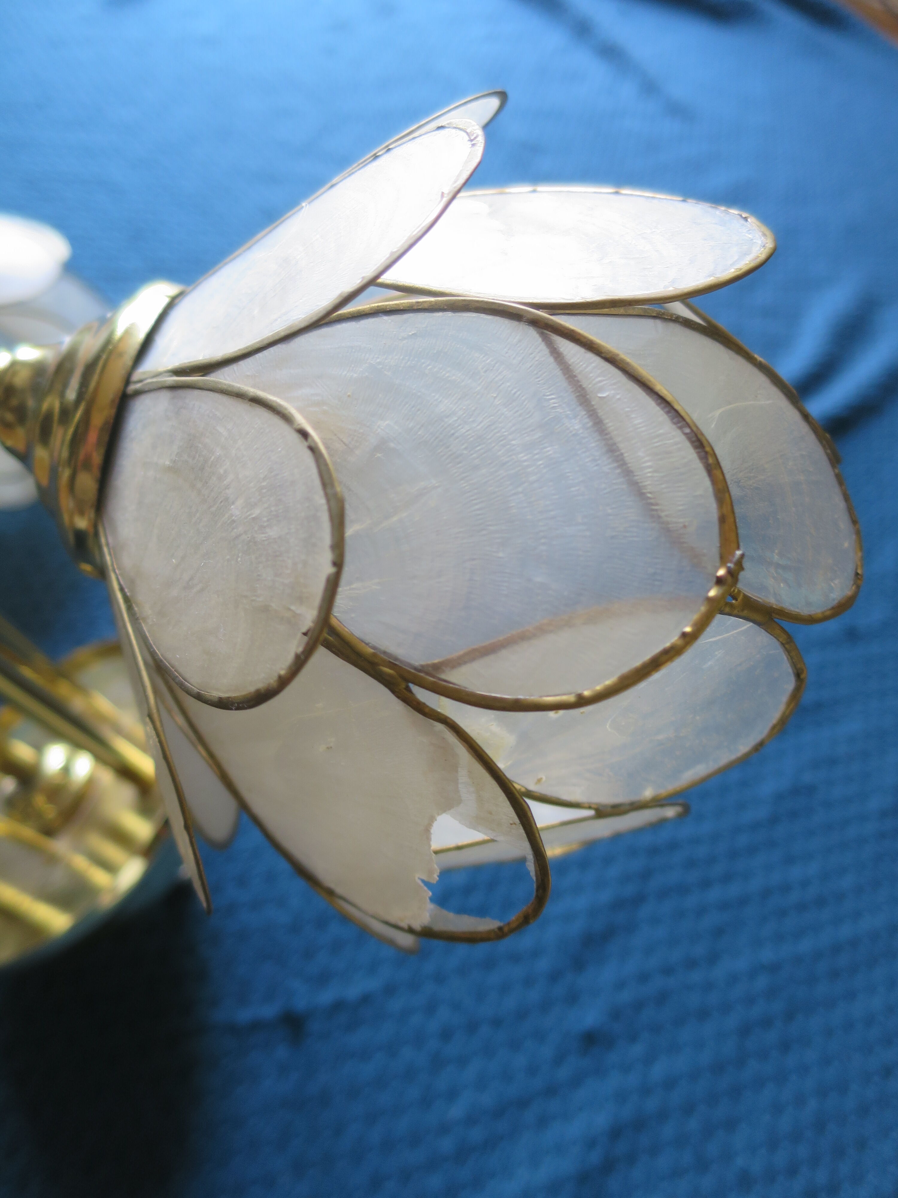 Chandelier brass mother-of-pearl capiz flowers