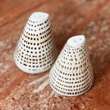 Vintage bohemian tiger shell salt and pepper shaker