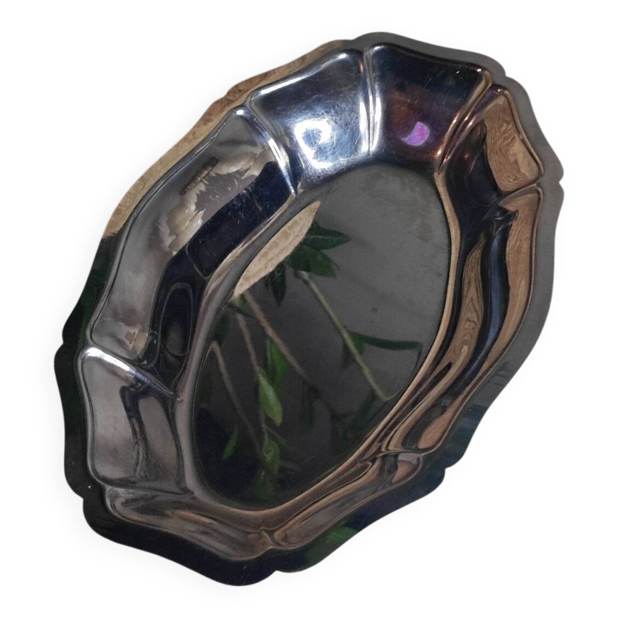 Stainless steel vegetable dish