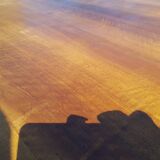 Art deco dining table