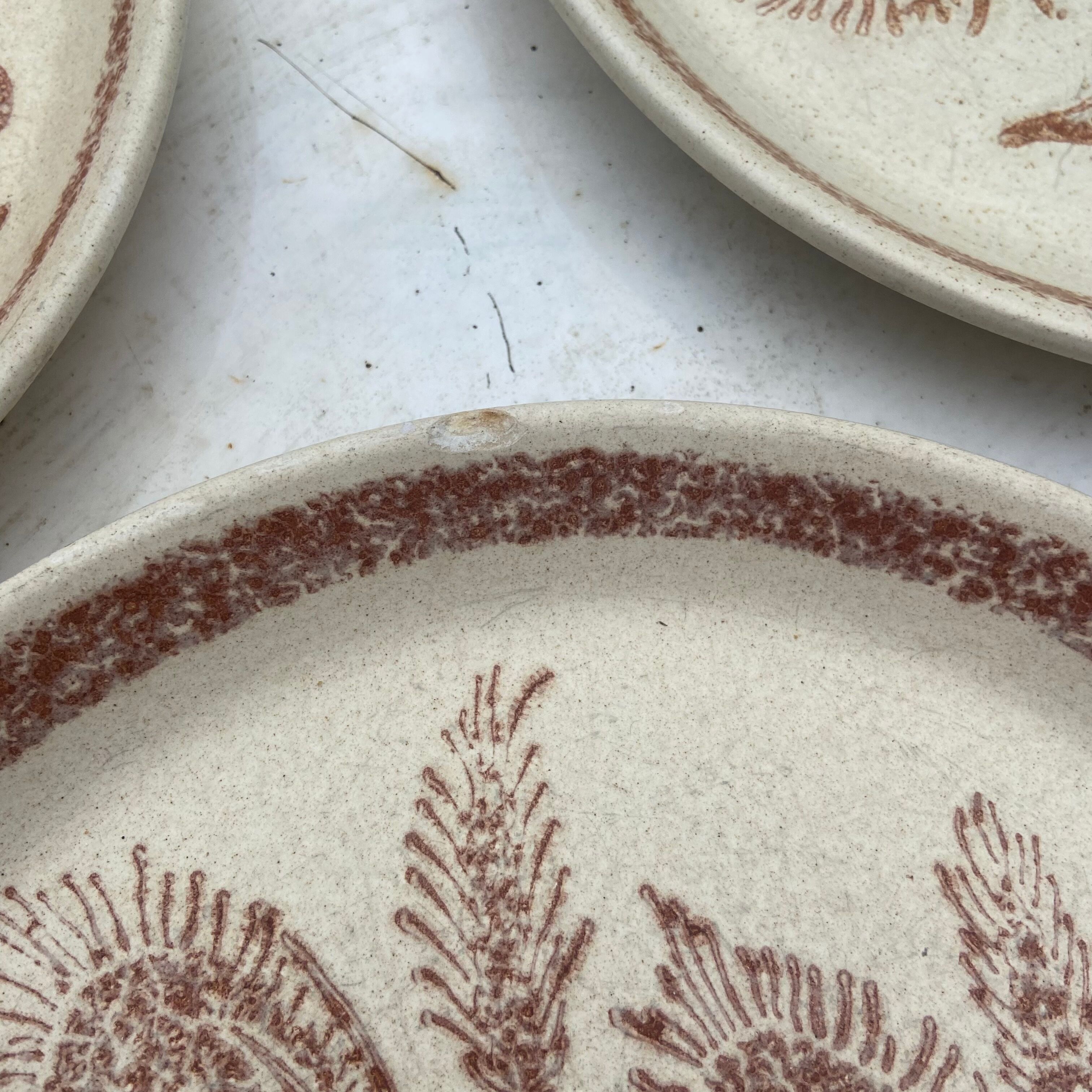 Assiettes vintage