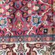 Old french carpet knotted 253 x 353 cm