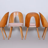 Chairs by Antonín Šuman 1950