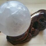 Ceramic lizard lamp and globe