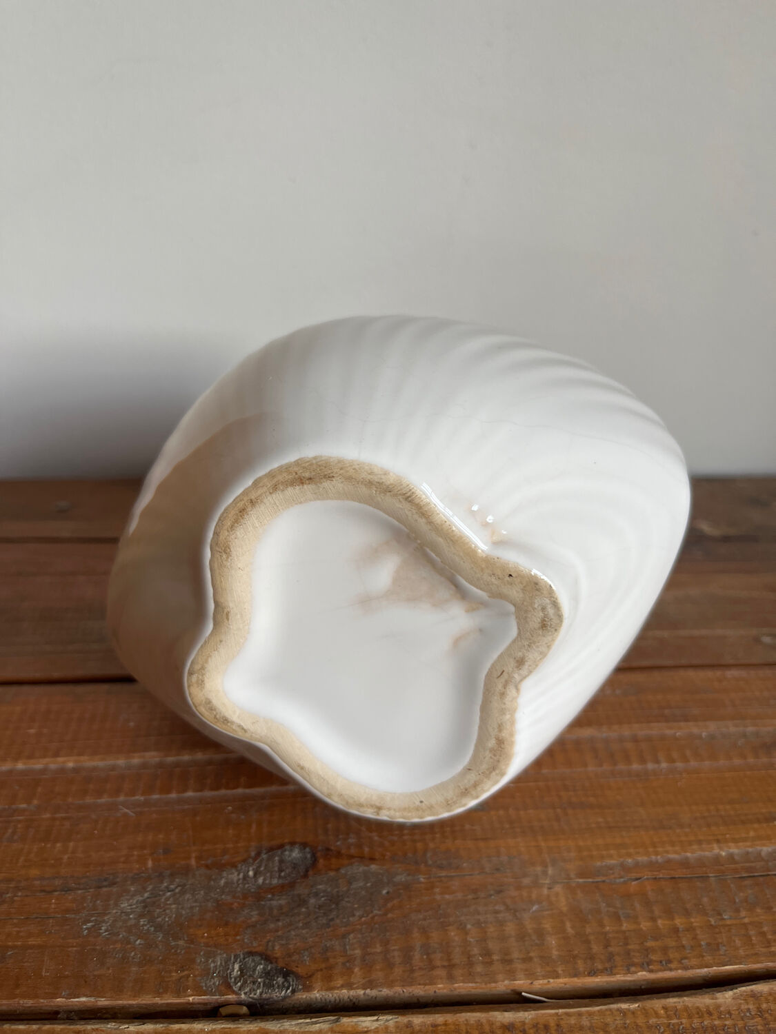 Vase coquillage