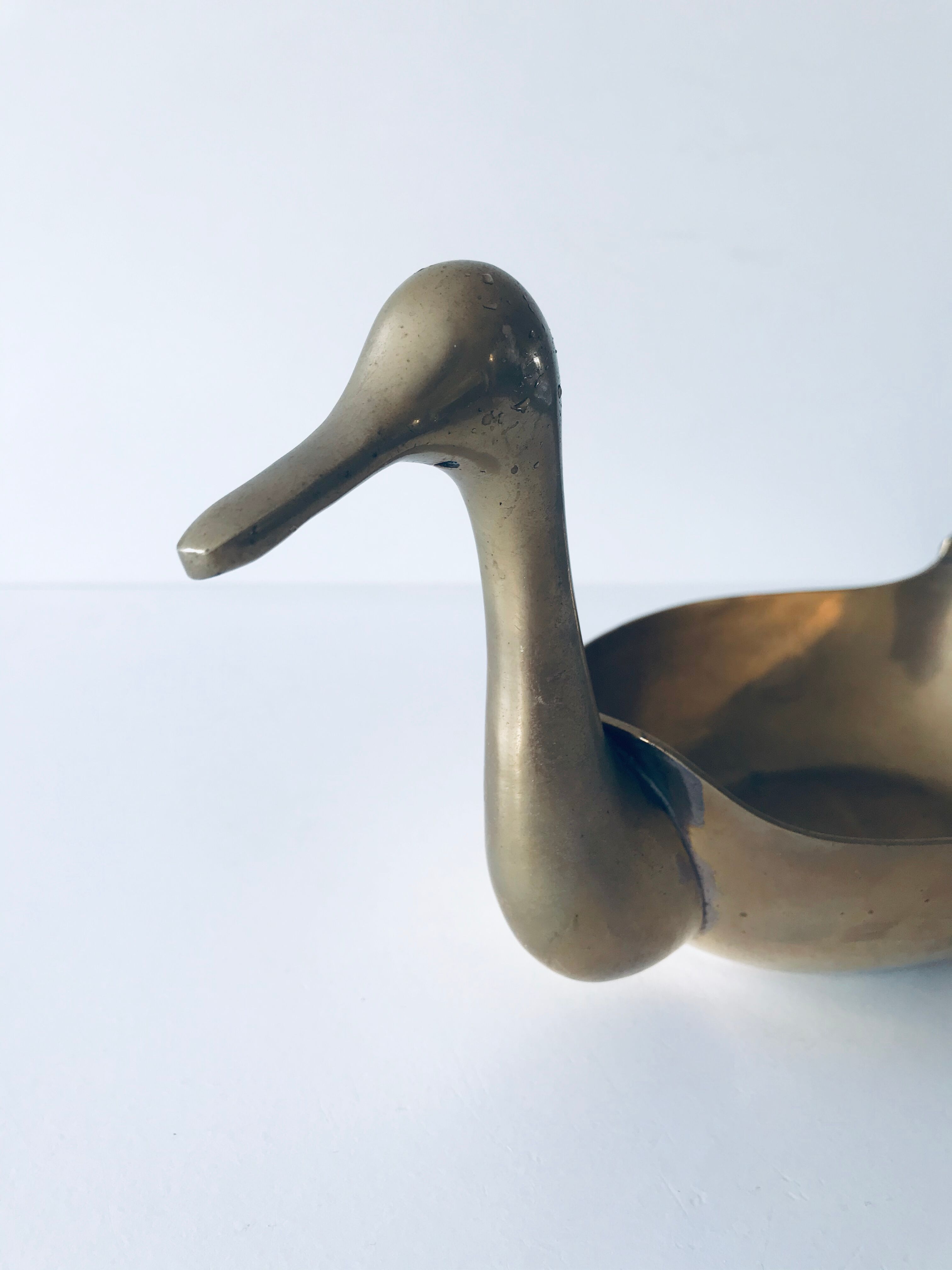 Empty brass duck empty pocket