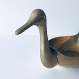 Empty brass duck empty pocket