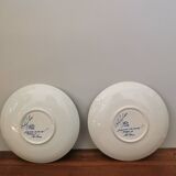Set of 2 small vintage plates Delfts Blauw Regina model made in Holland