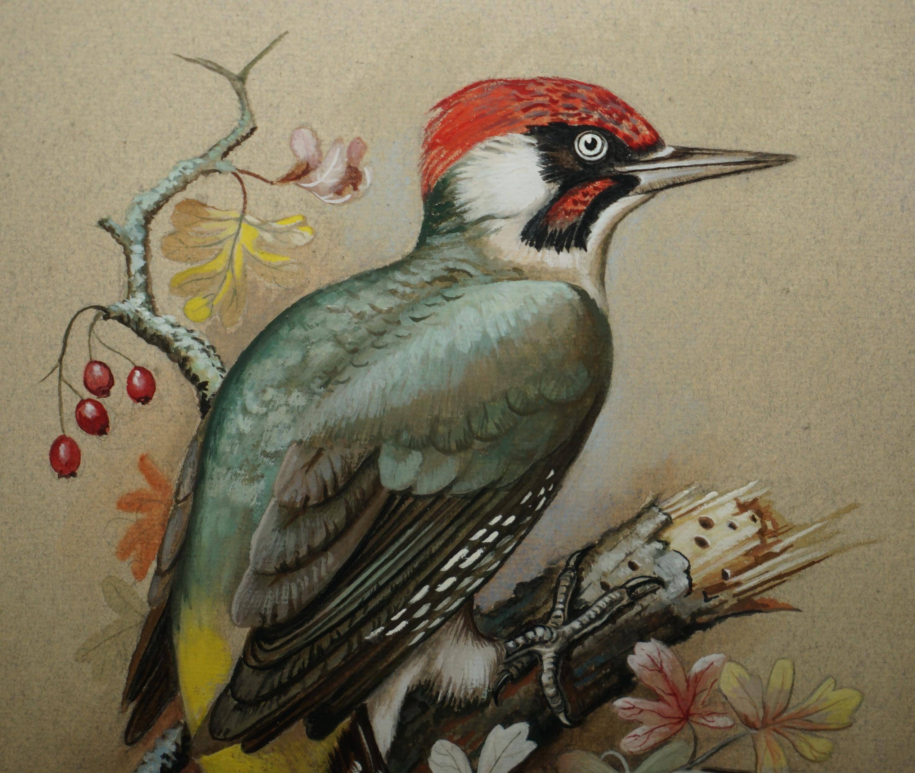 Ornithological watercolour painting signed M Shermorne kingfisher.