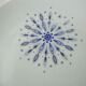 Set of 12 flat plates and 1 Bareuther dish
