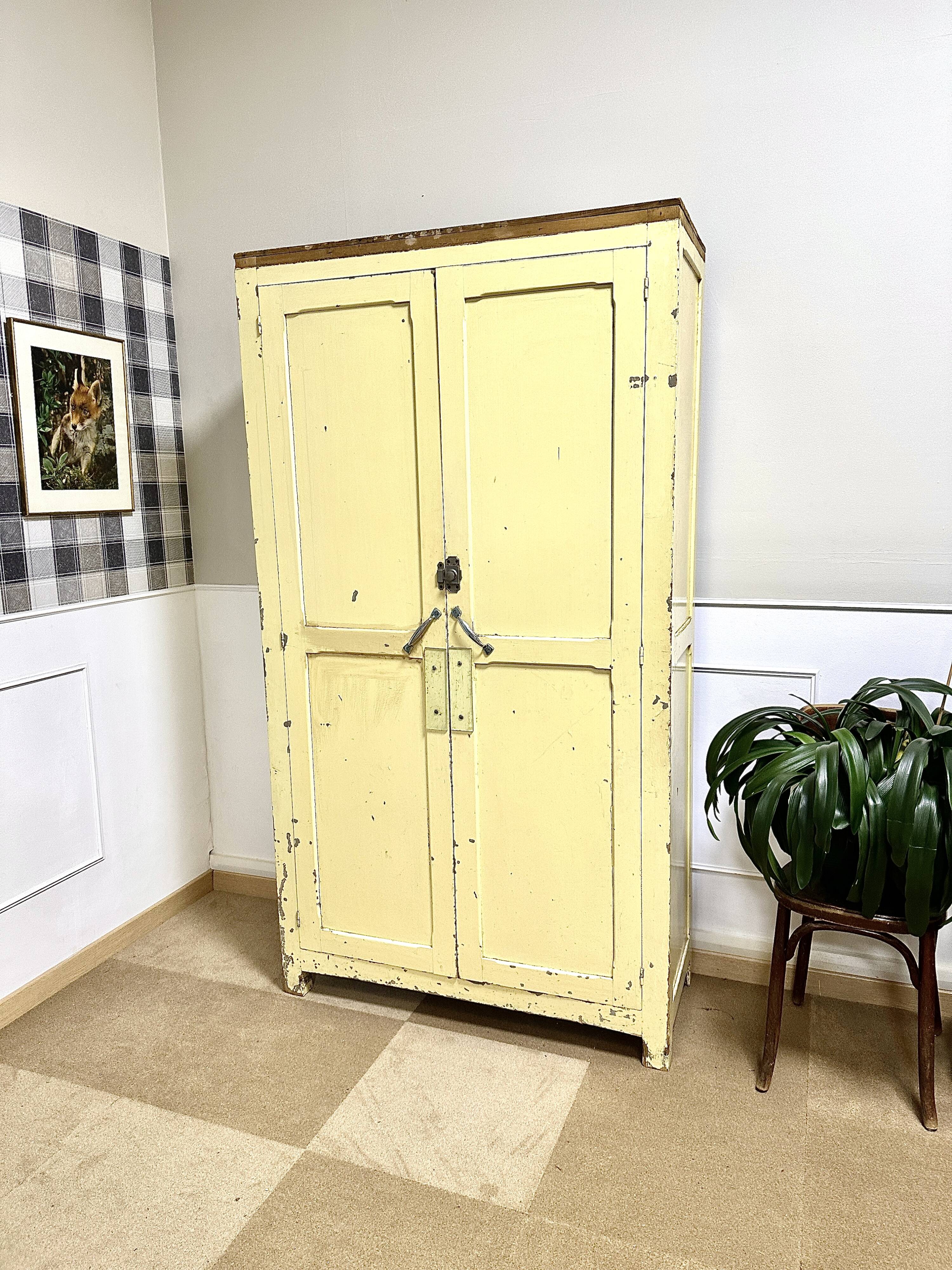 Parisian wardrobe patinated paint