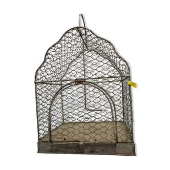 Iron bird cage