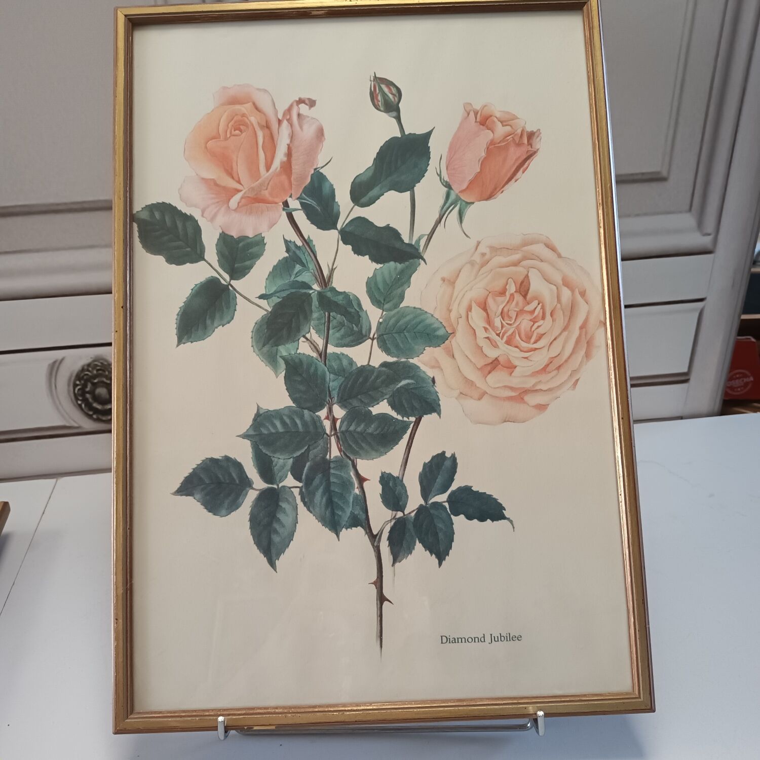 Gravure rose
