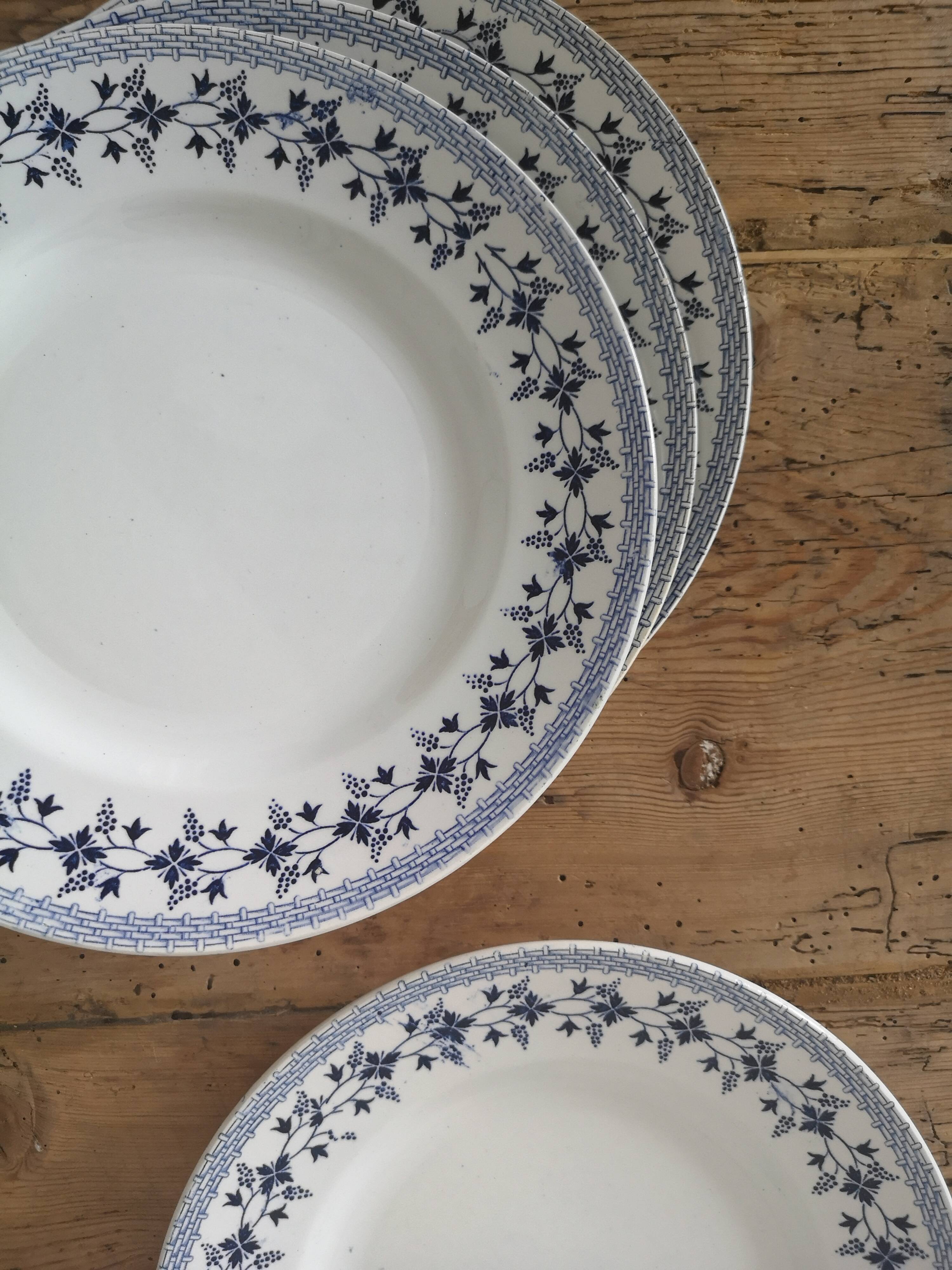 Old flat plates "Bluets"