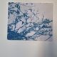 Cyanotype photographique
