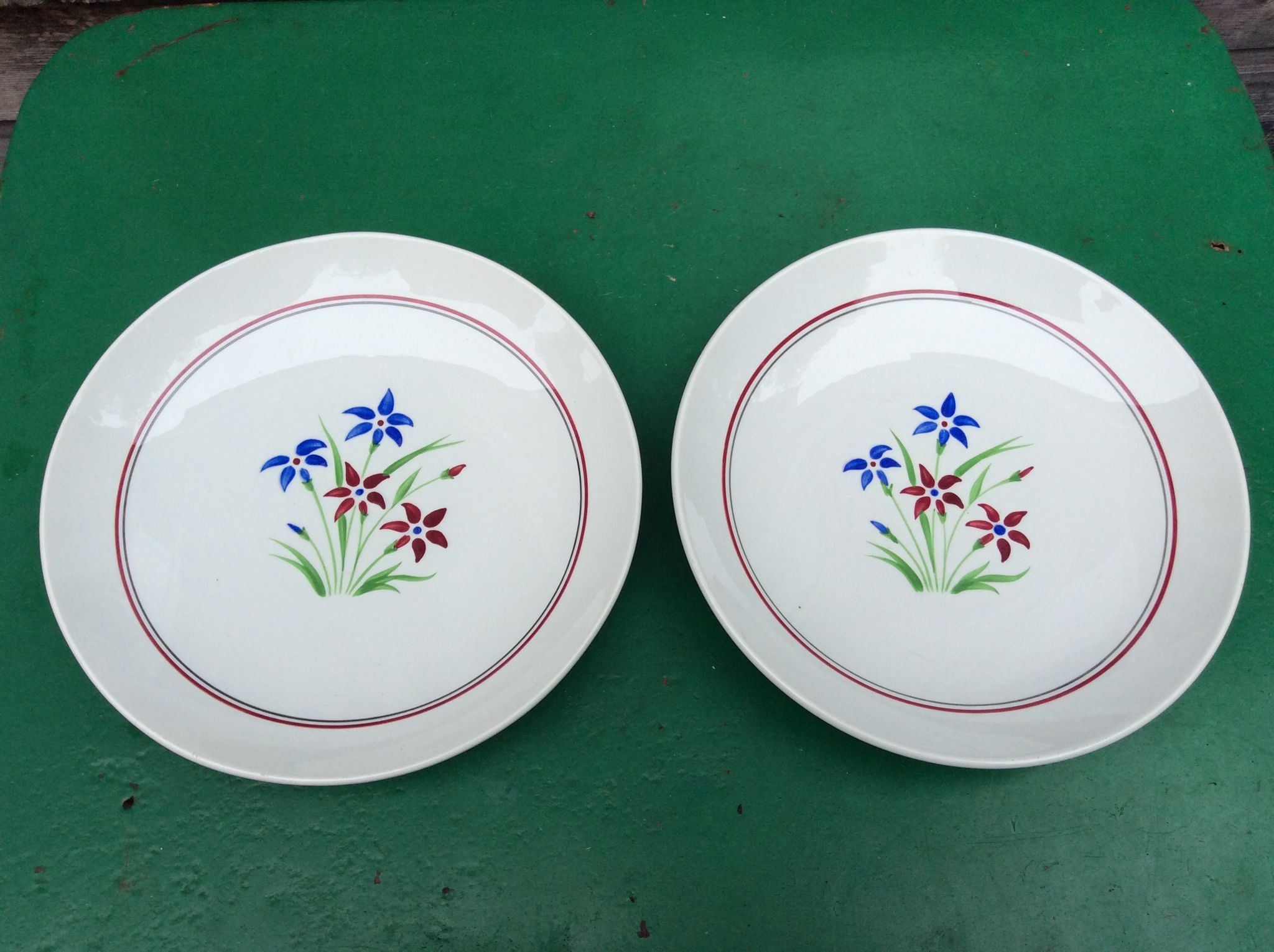 Duo de plats vintage