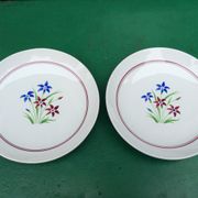 Duo de plats vintage