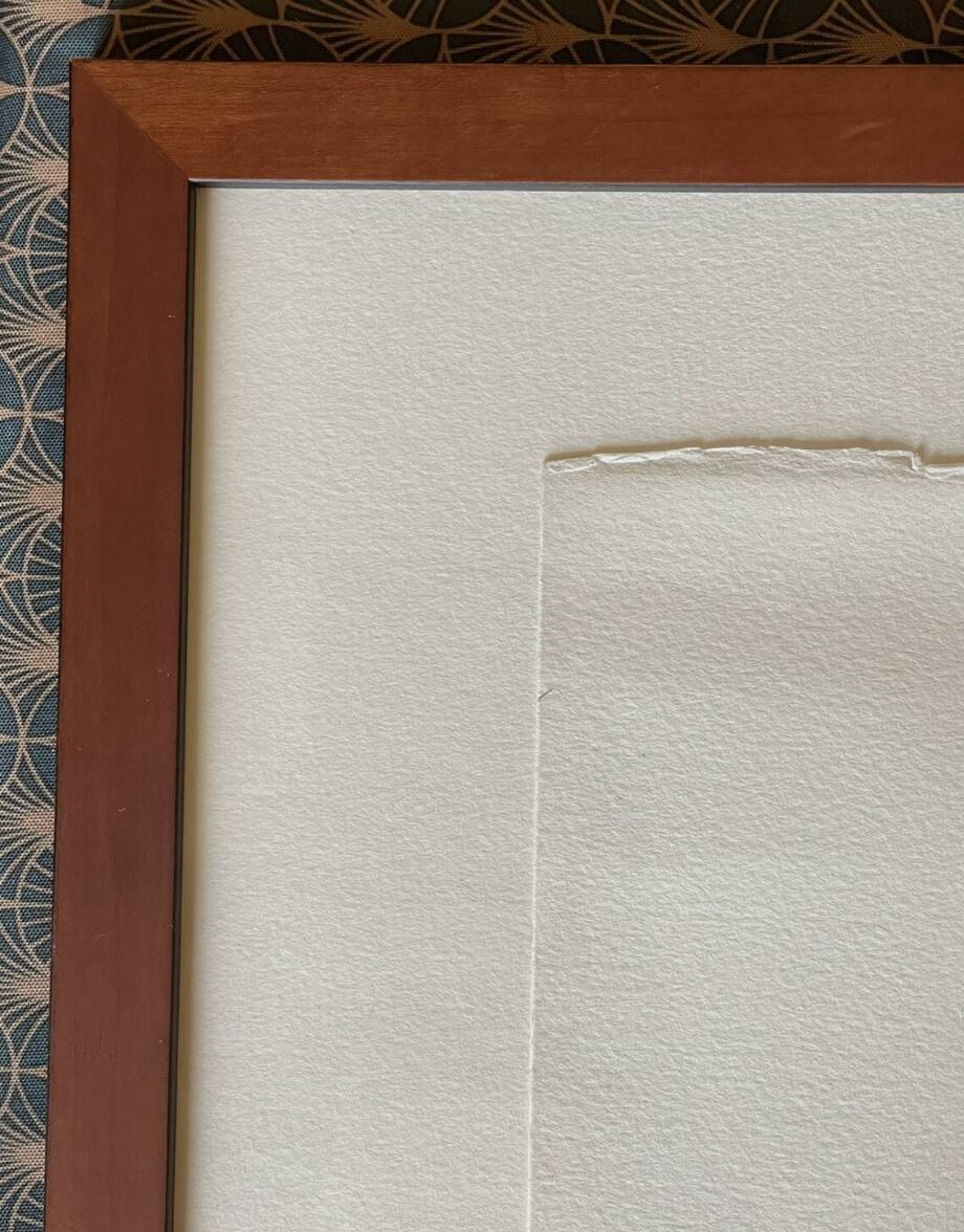 François Boucq (1955) - The Adventures of Jérôme Moucherot - Lithograph