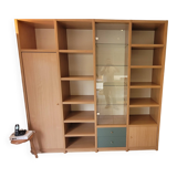 Ligne Roset Contemporary bookcase